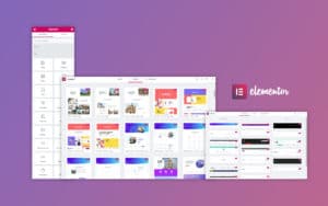How to Fix Elementor Pro Conflict with WooCommerce Error “Editor Not Loading”