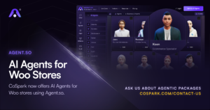 how to make an agent for ecommerce stores